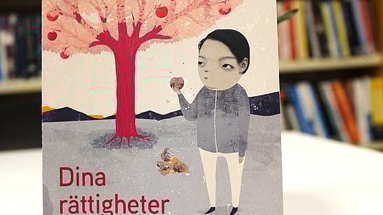 Ett foto av en broschyr från folkbildningsrådet med rubriken Dina rättigheter på folkhögskola. En tecknad bild på en person bredvid ett rött träd